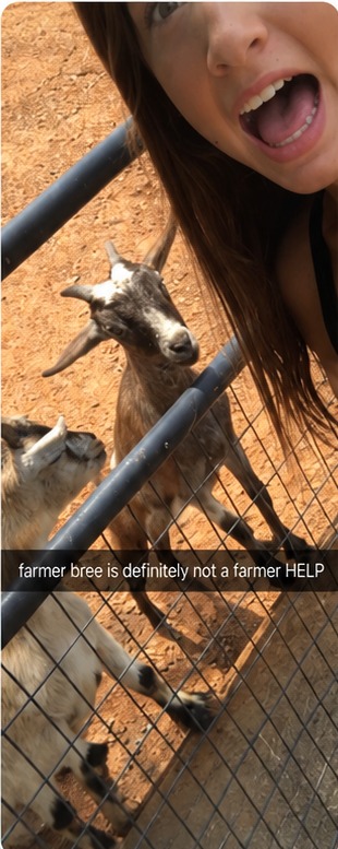 Farmer Bree snapshot with goats: 'farmer bree is definitely not a farmer HELP'
